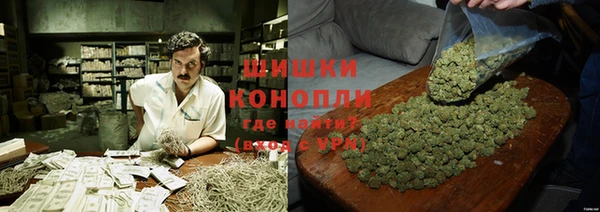 бошки Касимов